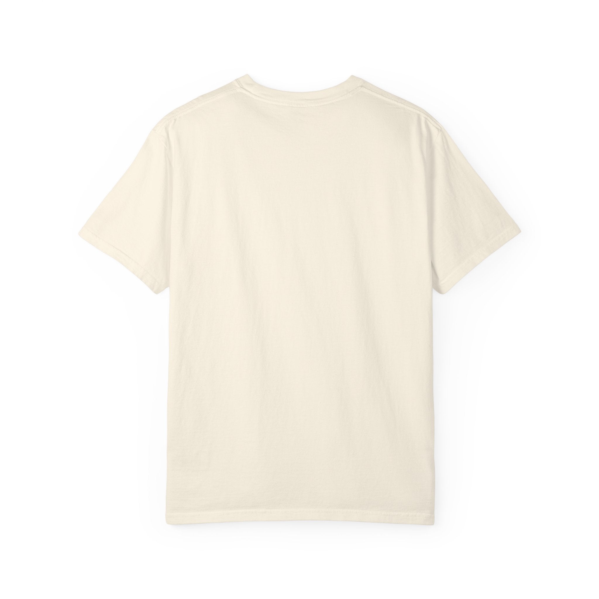 America 250 Years Of Freedom T‑Shirt