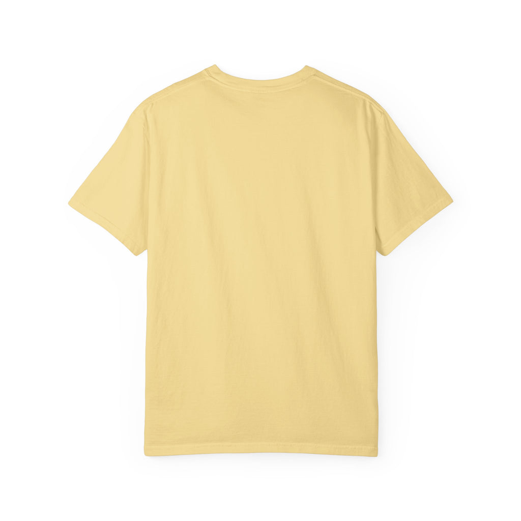 America 250 Years Of Freedom T‑Shirt