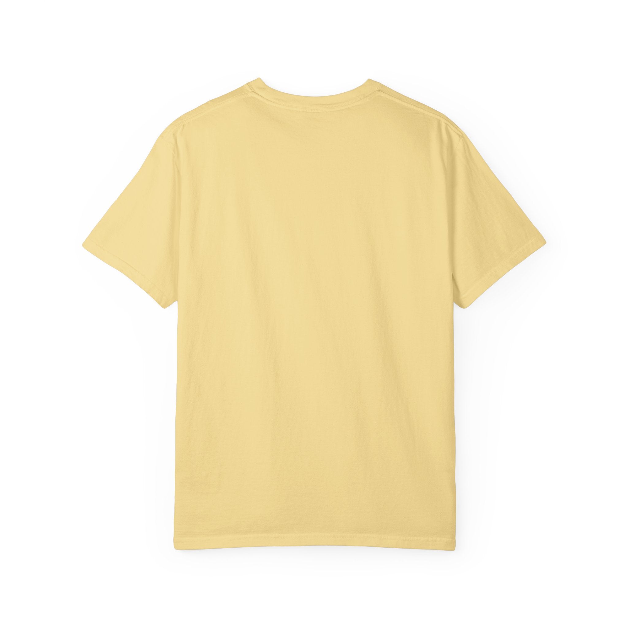 America 250 Years Of Freedom T‑Shirt